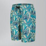 Stripe Pop Printed Leisure 17″ Swim Shorts