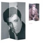 Elvis Folding Room Divider