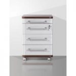 Profi Wenge Document Cabinet with Silver Front