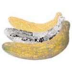 Glass Mosaic Banana
