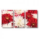 Red And White Flower Wall Arts