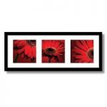 Red Floral Set of 3 Wall Arts