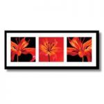 Red Lillies Framed Art