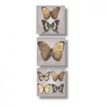 Black And Gold Butterfly Wall Arts