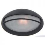 Outdoor and Porch Oval Black Light