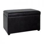 Miguel Contemporary Black Finish Trunk Bench With Storage