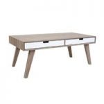 Idun Rectangular Wooden Coffee Table with 2 Drawers