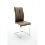 Tavis Metal Swinging Cappuccino Faux Leather Dining Chair
