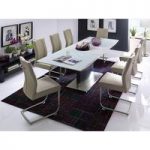 Helio Extendable Glass Dining Table With 8 Alamona Truffle Chair