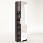 Steiner Mirrored Shoe Cabinet In White And Ebony