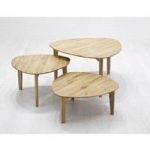 Ariana Wooden Set Of 3 Coffee Table In Knotty Oak