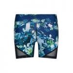 We Are Handsome Heat 5 Dalliance Active Multicolor Shorts Mesh