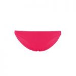 Seafolly Rio Pink Panties Swimwear