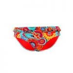 Audelle Multicolor panties swimsuit bottom Flying Fiesta