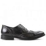 Ashford Black Brogue Shoe