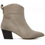 Karyn Suede Taupe Boot